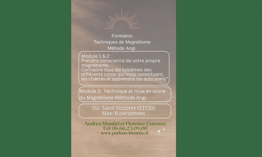 Initiation technique de magnetisme module 1